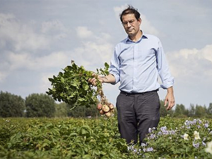 Disruptive Potato Breeder Solynta secures strong backing